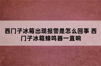 西门子冰箱出现报警是怎么回事 西门子冰箱蜂鸣器一直响